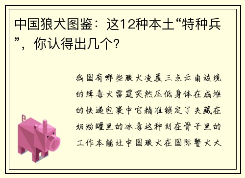 中国狼犬图鉴：这12种本土“特种兵”，你认得出几个？